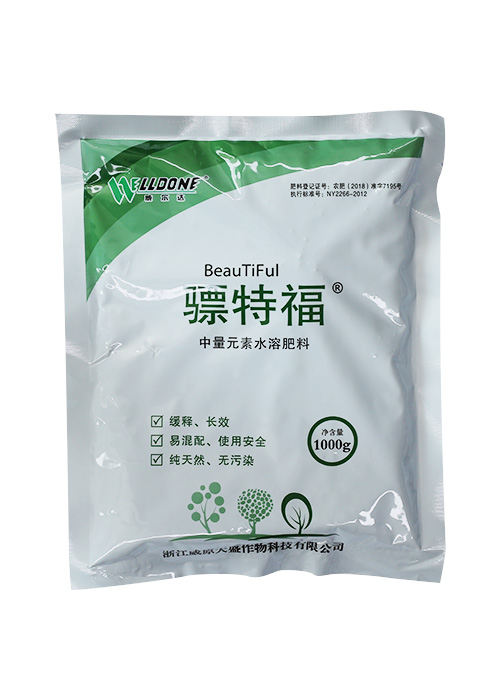 Water-soluble fertilizers containing calcium and magnesium